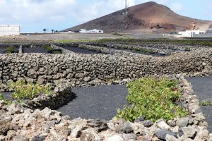 lanzarote5