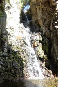 lagomera29