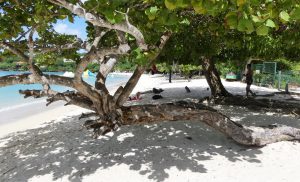 grenada3